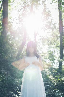 凤凰台上电视剧免费观看